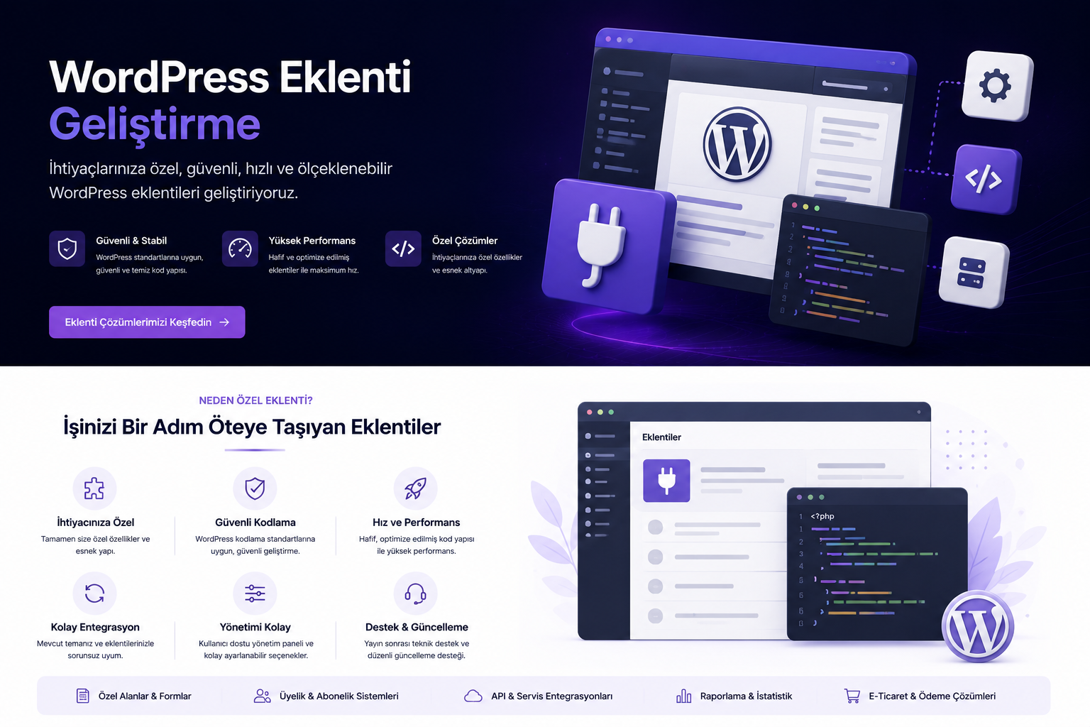 WordPress eklenti geliştirme tanıtım görseli